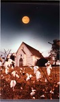 Winter moon over cotton field