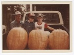 Boys and man with pumpkins in truck