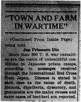 Newspaper article, "Town and Farm In Wartime"