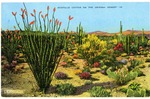 Postcard, Toshimi Kurisu to Hazel Retherford