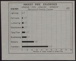 Graph of Forest Fire Statistics by cause, 1935