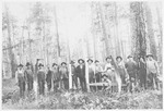 Group of lumberjacks in the woods with saws