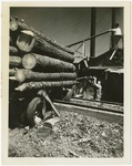 Worker unloading logs from truck