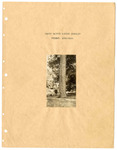 1928 report on Ozark Badger Lumber Company, Wilmar, Arkansas