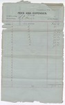 1894 December 31: Voucher, of S.T. Minor, deputy marshal; includes cost of 9 sub-vouchers