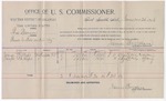 1894 November 24: Voucher, U.S. v. Thomas Brennan, threatening to kill; includes cost of per diem and mileage; James Brizzolara, commissioner; G.J. Crump, U.S. marshal; James Phillips, Joseph Phillips, witnesses; W.J. Flemming, witness of signatures