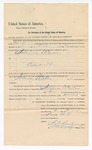 1894 November 2: Writ of arrest, for Solomon Walker, assault; Stephen Wheeler, clerk; I.M. Dodge, deputy clerk; G.J. Clump, U.S. marshal; W.J. Fleming, deputy marshal