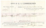 1896 June 05: U.S. v. Will Gibson, assault with intent to kill; includes cost per diem and mileage; James Brizzolara, commissioner; George J. Crump, U.S. marshal; Frank Johnson, Eddie Vann, witnesses; M. Strause, witness of signature