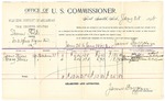 1895 January 28: Voucher, U.S. v. Semen Polk, introducing spirituous liquors; includes cost of per diem and mileage; James Brizzolara, commissioner; G.J. Crump, marshal; James Stevens, Mary Stevens, witnesses; C.C. Ayers, witness of signatures