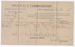 1895 June 20: Voucher, U.S. v. Angelo Duko, violating intercourse laws; James Brizzolara, commissioner; Lewis Jones, J.W. Robinson, witnesses; George J. Crump, U.S. marshal; W.J. Flemming, deputy marshal