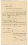 1895 August 29: Mittimus to await trial, U.S. v. Tina Walker, murder; Stephen Wheeler, clerk; I.M. Dodge, deputy clerk; G.J. Crump, U.S. marshal; G.P. Jackson, deputy
