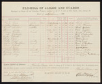 1880 July 31: Voucher, for pay-roll for jailer and guards; Charles Burns, jailer; John Paterson, acting jailer; Jacob Maledon, Isaac Quinn, Wesley Lewis, James Waters, turnkey; George Hechler, Jerry Washington, John Williams, Wesley Lewis, Hiram L. Wyndham, Louis Salcski, Frank Green, James Waters, Smith May, guards; D.P. Upham, U.S. marshal; C.M. Barnes, witness to mark; Stephen Wheeler, clerk; S.A. Williams, deputy clerk