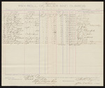 Pay-Roll of physician, jailor and guards; J.G. Eberle, jail physician; N.K. Pryor, jailor; David Conway, William B. Casey, turnkey; George Maledon, Michael O'Connell, Richard Turner, R.R. Pace, Christian Effle, George Bomford, E.A. Anthony, John McNamee, John May, Richard R. Stravick, W.W. Early, guards; Stephen Wheeler, clerk; S.A. Williams, deputy clerk; James Carroll, U.S. marshal