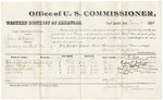 1881 January 08: Voucher, U.S. v. John Williams, larceny; includes cost of per diem and mileage; Robert Johnson, John Post, Rebecca Johnson, and Jim Tony, witnesses; E.H. Reeves and G.H. Williams, witnesses of signatures; V. Dell, U.S. marshal; James Brizzolara, commissioner