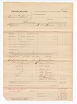 1881 November 06: Voucher, U.S. v. Charles W. Beers, larceny; includes cost of mileage and subpoenas for witnesses; Emanuel Blosser, Price Cholean, Al Goss, Miles Jones, Thomas Brown, John Barker, William Knowles, and Charles McClellan, witnesses; L.W. Marks, U.S. deputy marshal