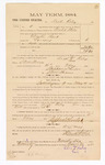 1885 January 26: Voucher, to Dick Riley; includes cost of witness in U.S. v. Martin Bird, larceny; Stephen Wheeler, clerk; S.A. Williams, deputy clerk; Thomas Boles, U.S. marshal; R.C. Bollinger, witness to signatures