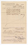 1884 June 02: Voucher, to Samuel Peters; includes cost of service at bailiff; Thomas Boles, U.S. marshal; Stephen Wheeler, clerk; Thomas B. Larham, deputy clerk