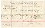 Voucher, U.S. v. Hardy Steadham and Jesse Belam, introducing spirituous liquor; includes costs of per diem and mileage; Wallace McNae, Boss Strong, Simon Peters, Charles Woodland, John Brown, witnesses; R.C. Cockburn, witness to signature; Jacob Yoes, U.S. marshal; James Brizzolara, U.S. commissioner; William H.H. Clayton, U.S. district attorney